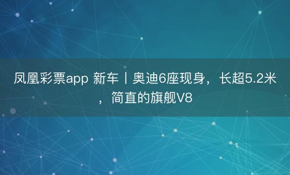 凤凰彩票app 新车丨奥迪6座现身,长超5.2米,简直的旗舰V8